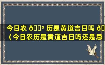 今日农 🌺 历是黄道吉日吗 🌻 （今日农历是黄道吉日吗还是忌日）